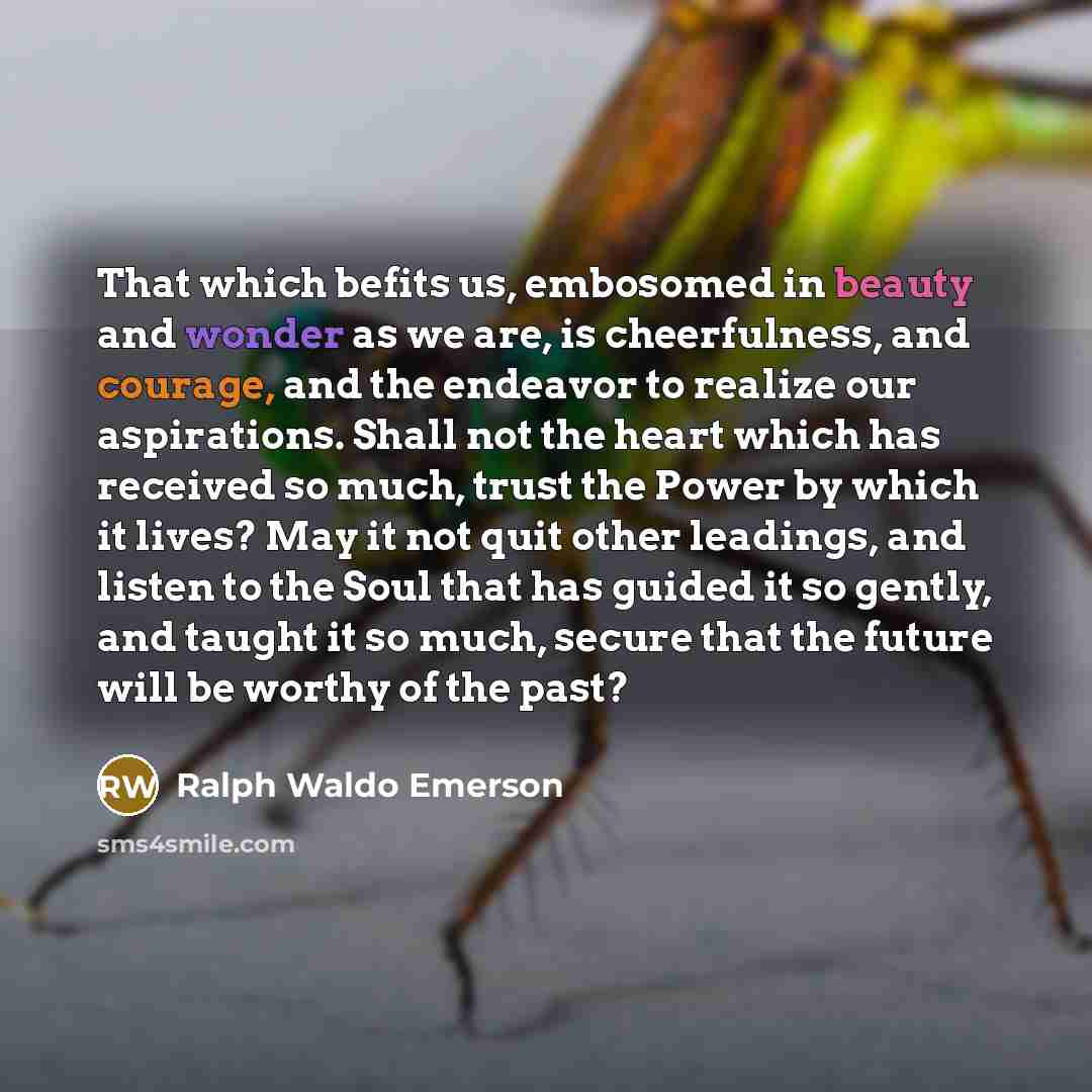 “That which befits us, embosomed in beauty and wonder as…” quote by Ralph Waldo Emerson