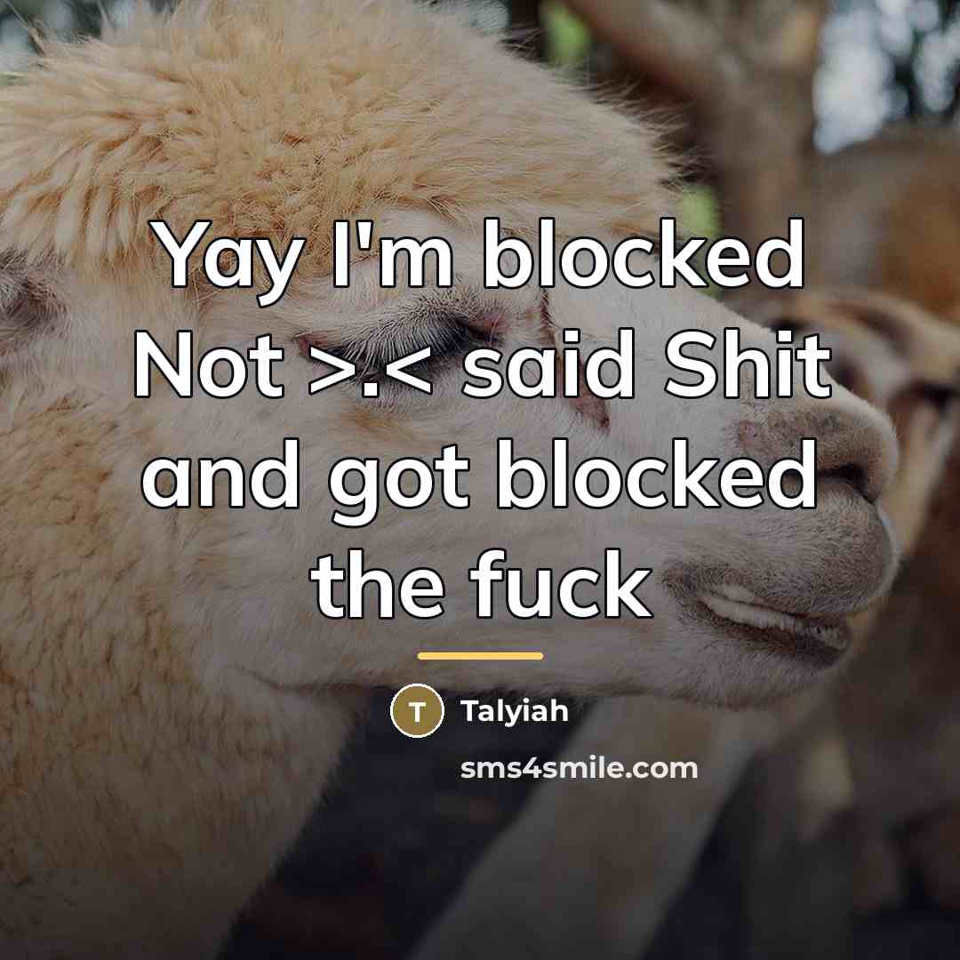 “Yay I'm blocked Not >.< said Shit and got blocked…” quote by Talyiah