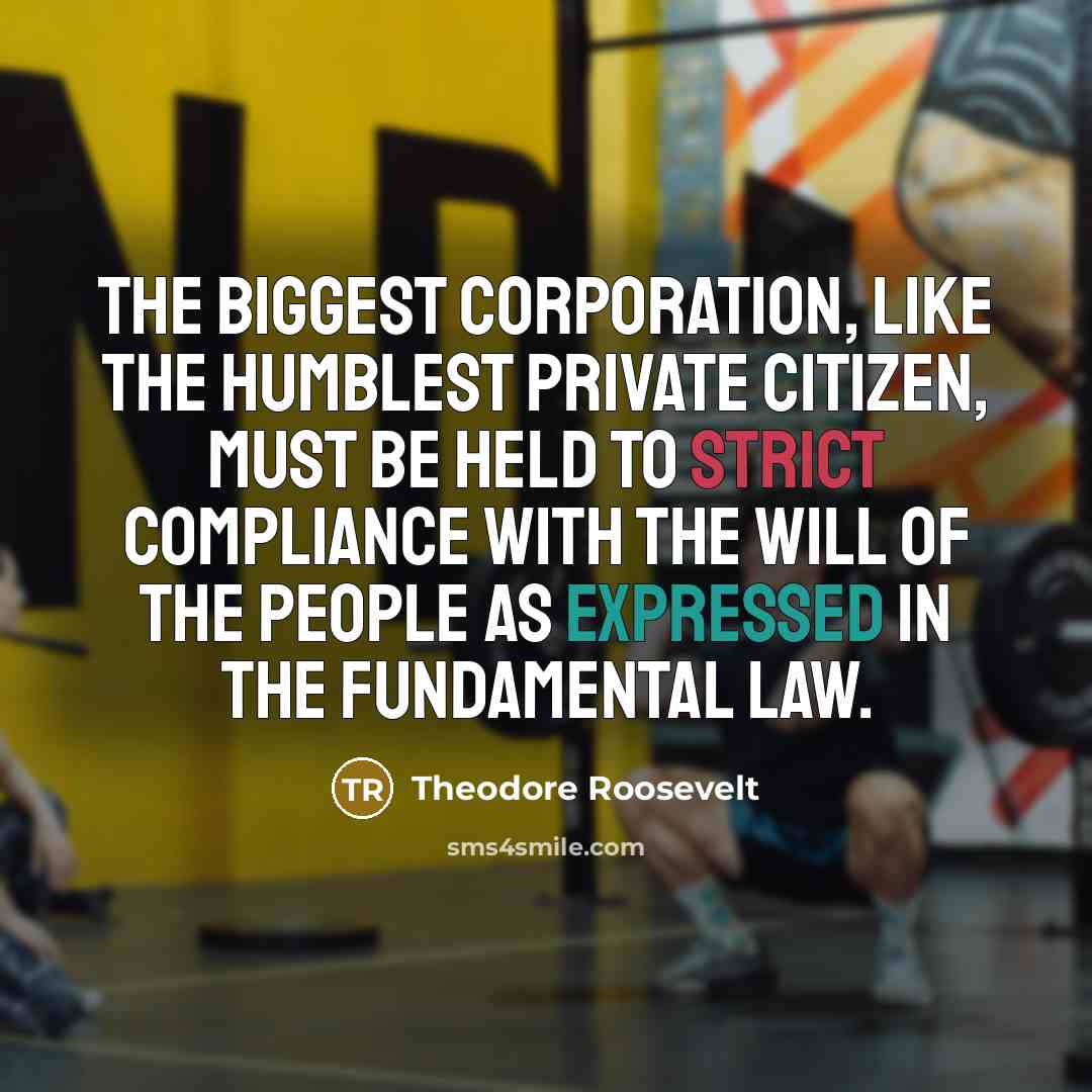 “The biggest corporation, like the humblest private citizen, must be…” quote by Theodore Roosevelt