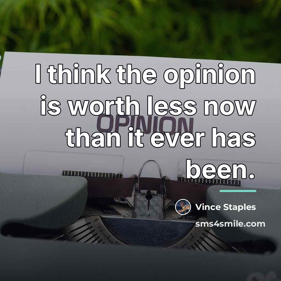 “I think the opinion is worth less now than it…” quote by Vince Staples