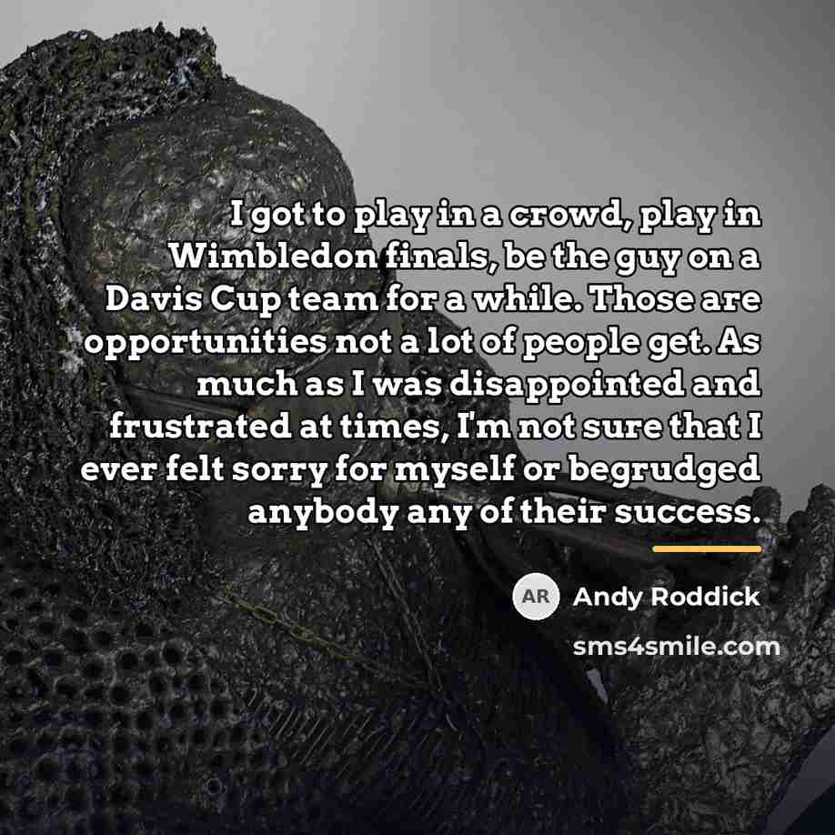 “I got to play in a crowd, play in Wimbledon…” quote by Andy Roddick