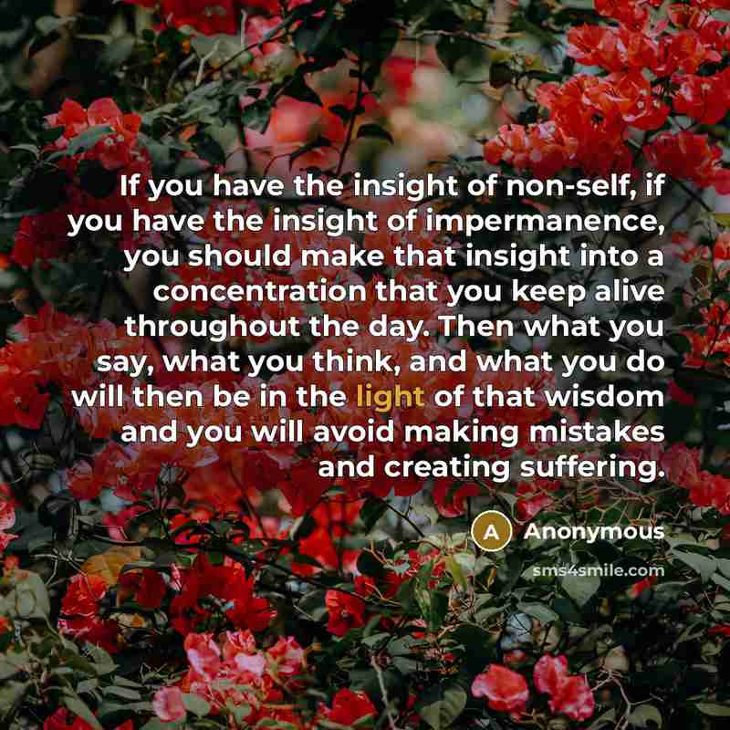 “If you have the insight of non-self, if you have…” quote by Anonymous