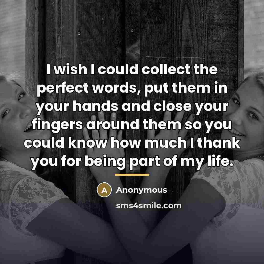 “I wish I could collect the perfect words, put them…” quote by Anonymous