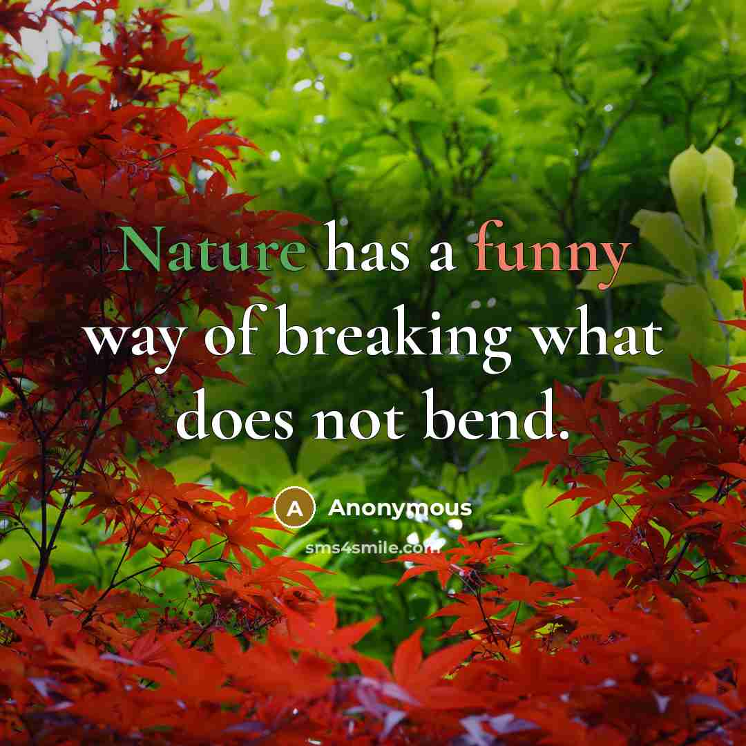 “Nature has a funny way of breaking what does not bend.” quote by Anonymous