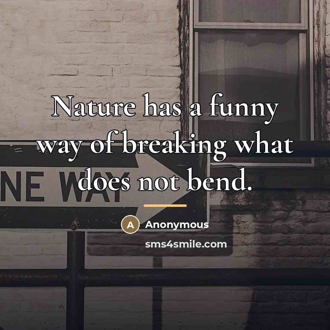 “Nature has a funny way of breaking what does not…” quote by Anonymous
