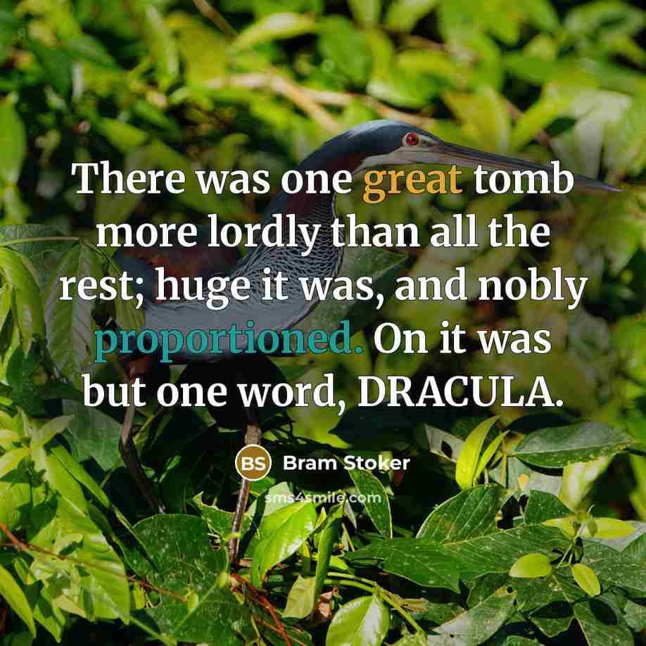 “There was one great tomb more lordly than all the rest; huge it was, and nobly proportioned. On it was but one word, DRACULA.” quote by Bram Stoker