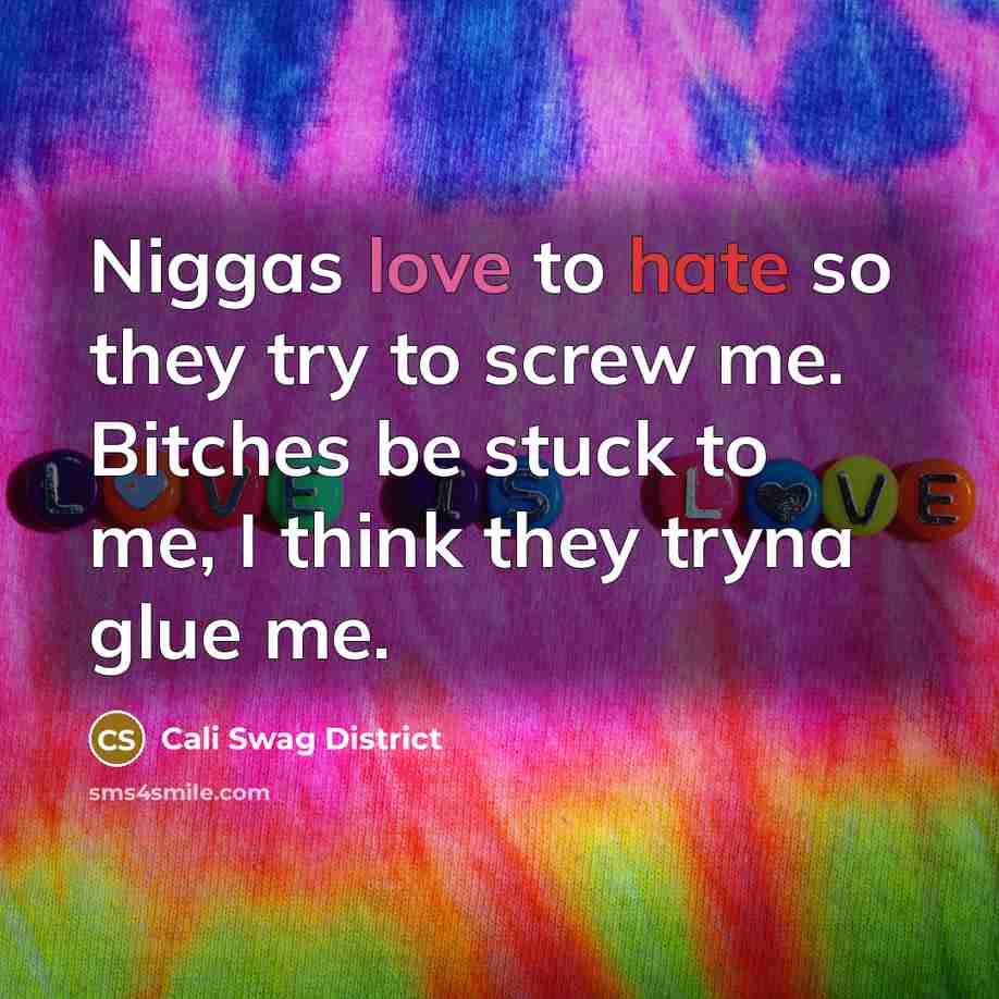 “Niggas love to hate so they try to screw me. Bitches be stuck to me, I think they tryna glue me.” quote by Cali Swag District