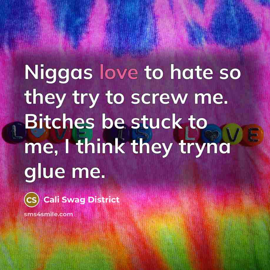 “Niggas love to hate so they try to screw me.…” quote by Cali Swag District