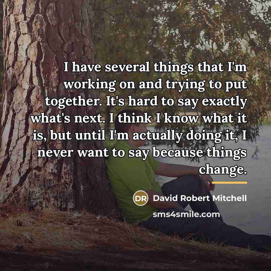 “I have several things that I'm working on and trying…” quote by David Robert Mitchell