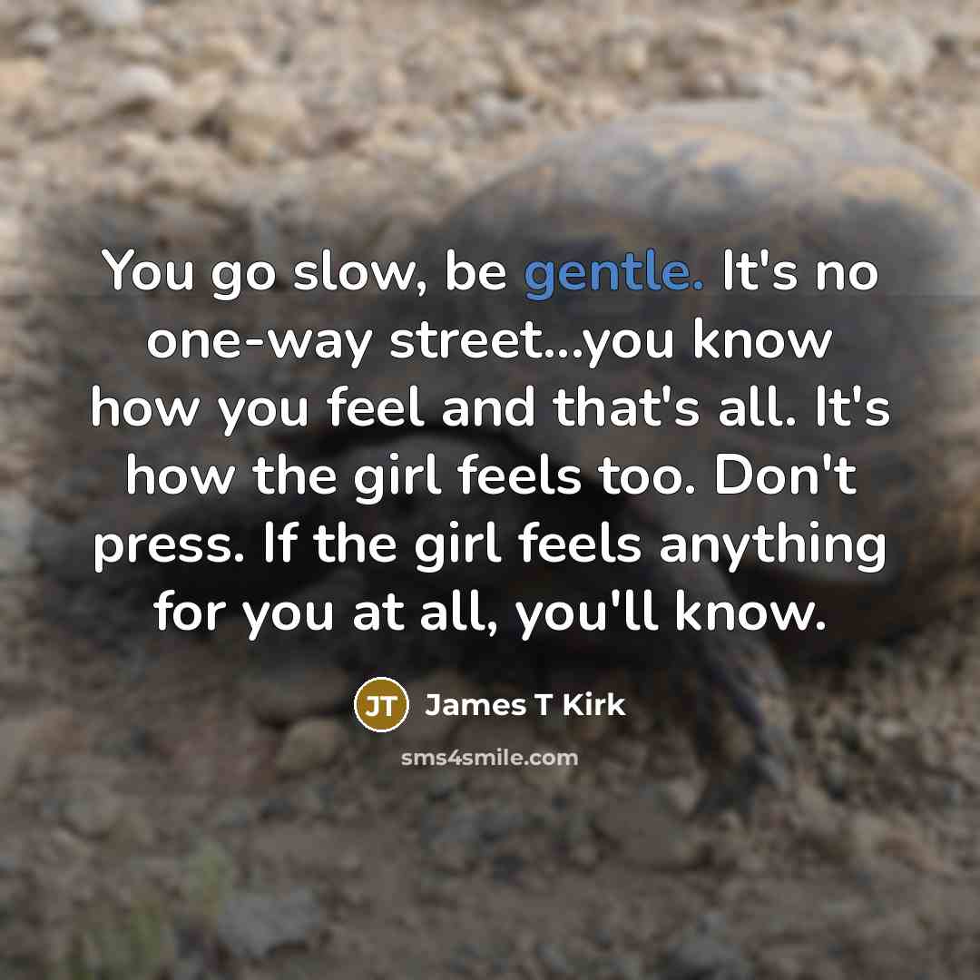 “You go slow, be gentle. It's no one-way street...you know how you feel and that's all. It's how the girl feels too. Don't press. If the girl feels anything for you at all, you'll know.” quote by James T Kirk