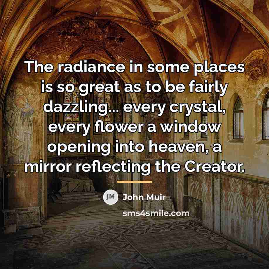 “The radiance in some places is so great as to…” quote by John Muir