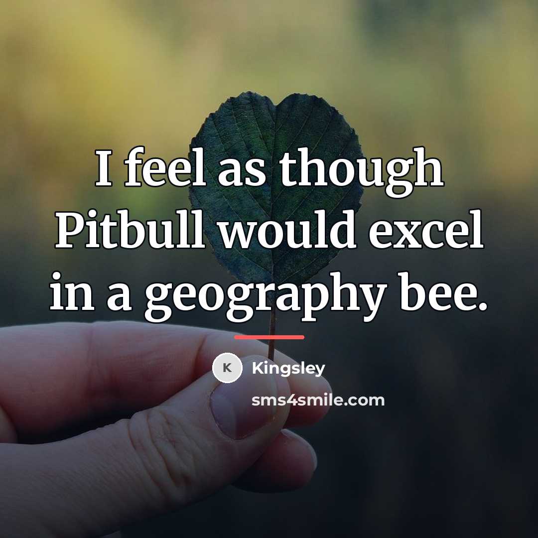 “I feel as though Pitbull would excel in a geography…” quote by Kingsley