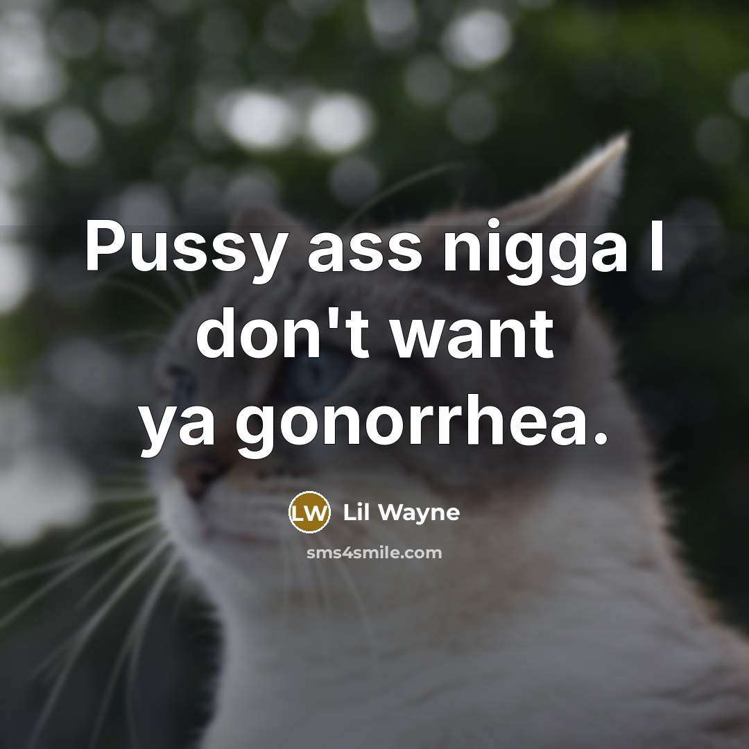 “Pussy ass nigga I don't want ya gonorrhea.…” quote by Lil Wayne