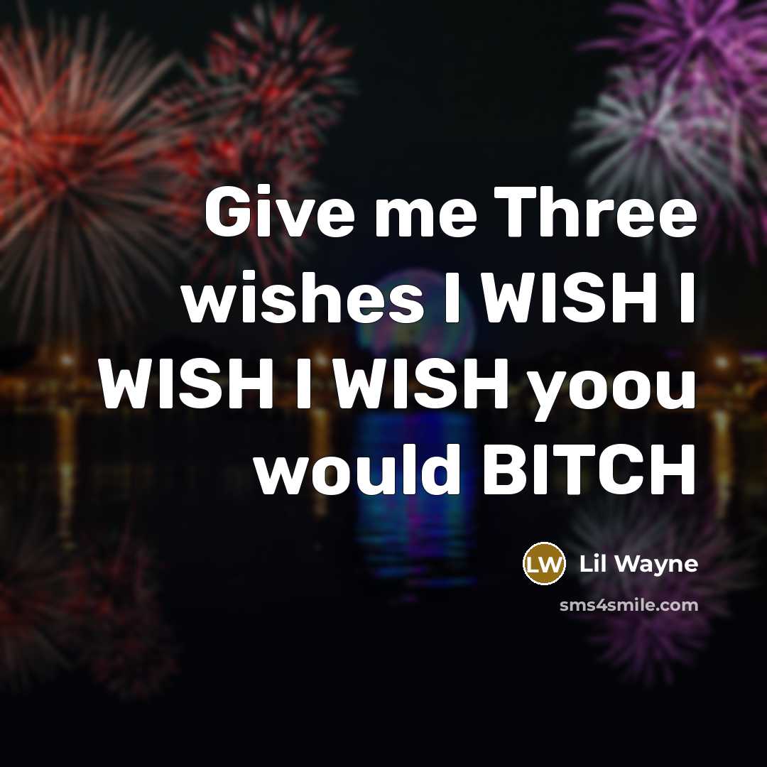 “Give me Three wishes I WISH I WISH I WISH yoou would BITCH” quote by Lil Wayne