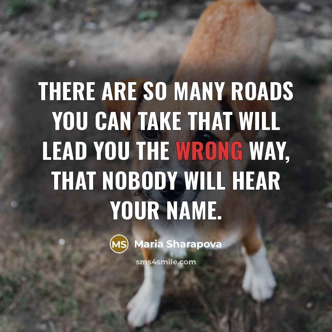 “There are so many roads you can take that will…” quote by Maria Sharapova