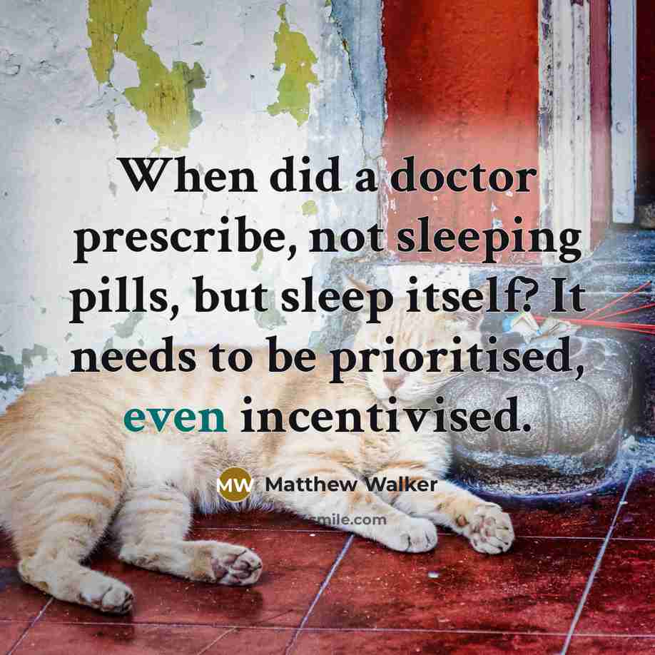 “When did a doctor prescribe, not sleeping pills, but sleep…” quote by Matthew Walker