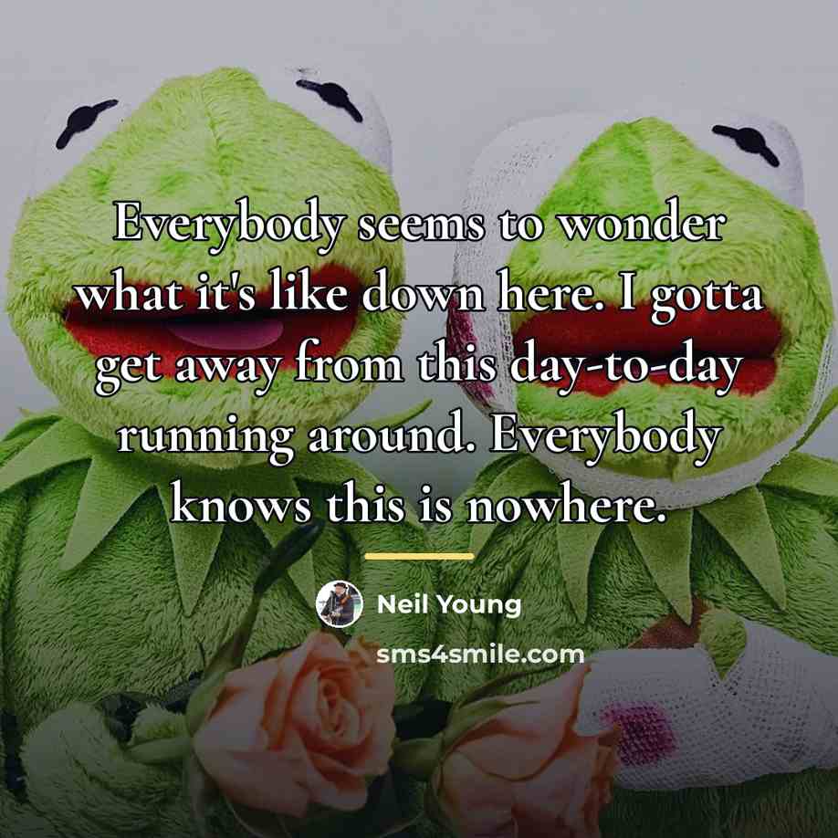 “Everybody seems to wonder what it's like down here. I…” quote by Neil Young