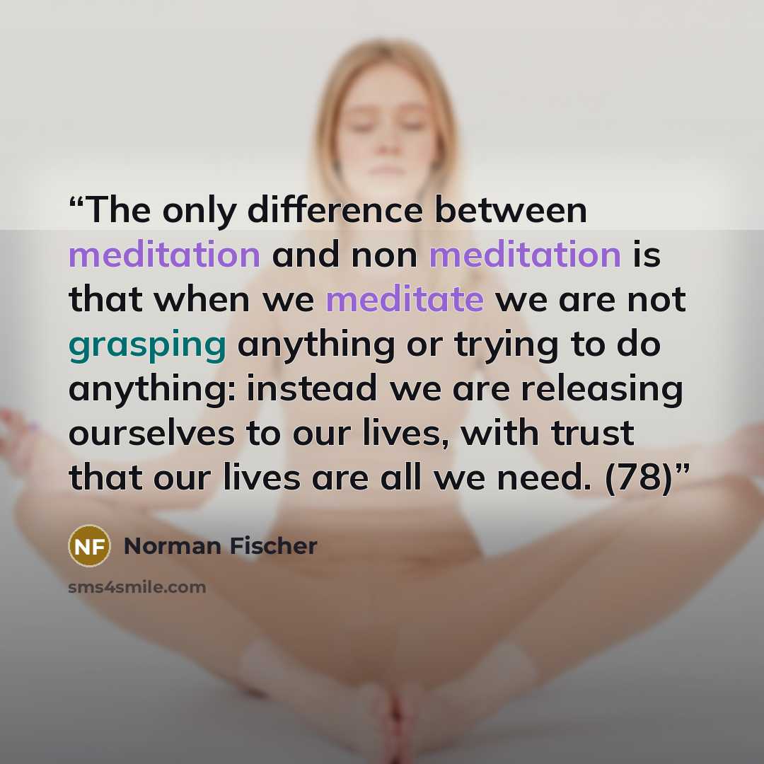 “The only difference between meditation and non meditation is that when we meditate we are not grasping anything or trying to do anything: instead we are releasing ourselves to our lives, with trust that our lives are all we need. (78)” quote by Norman Fischer