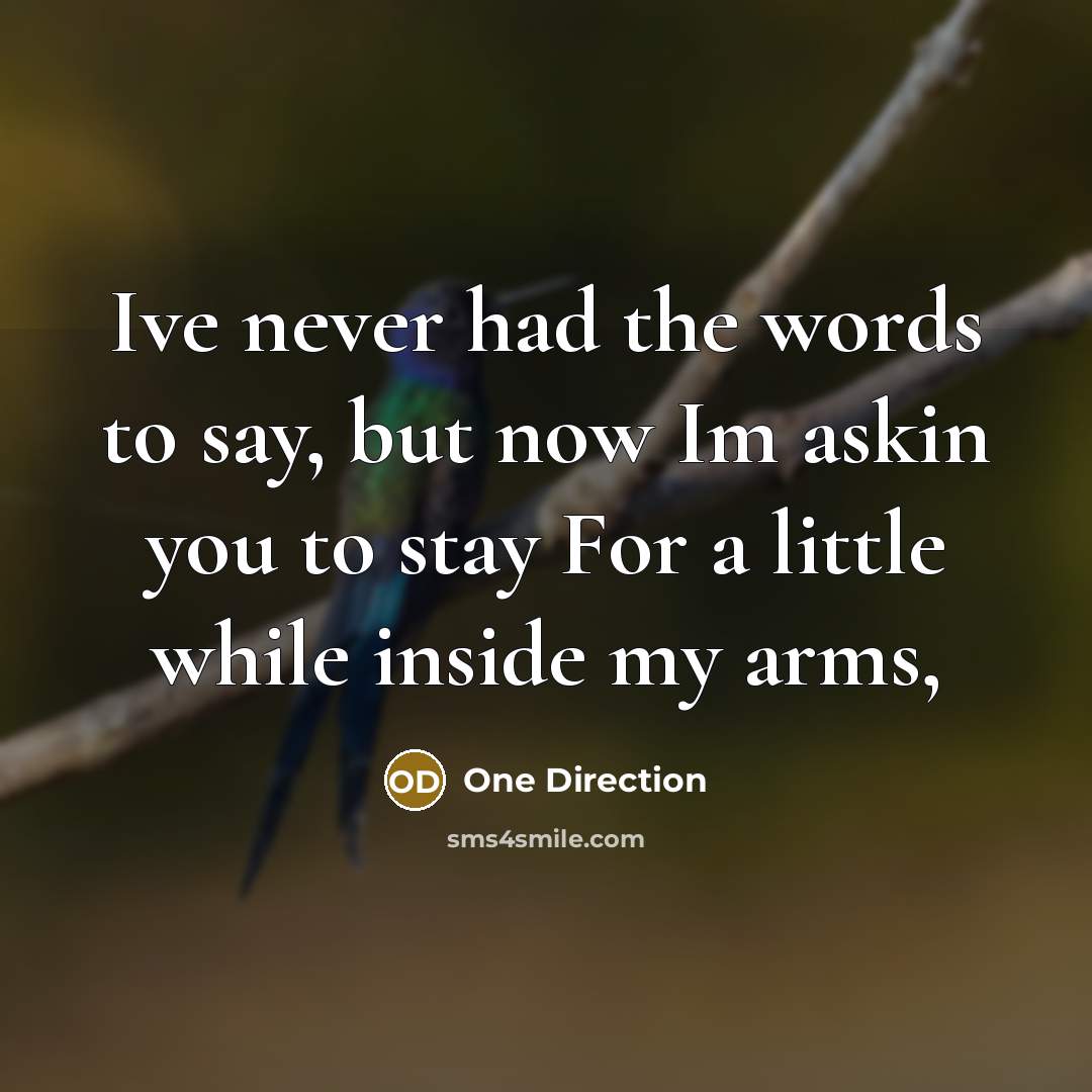“Ive never had the words to say, but now Im askin you to stay For a little while inside my arms,” quote by One Direction