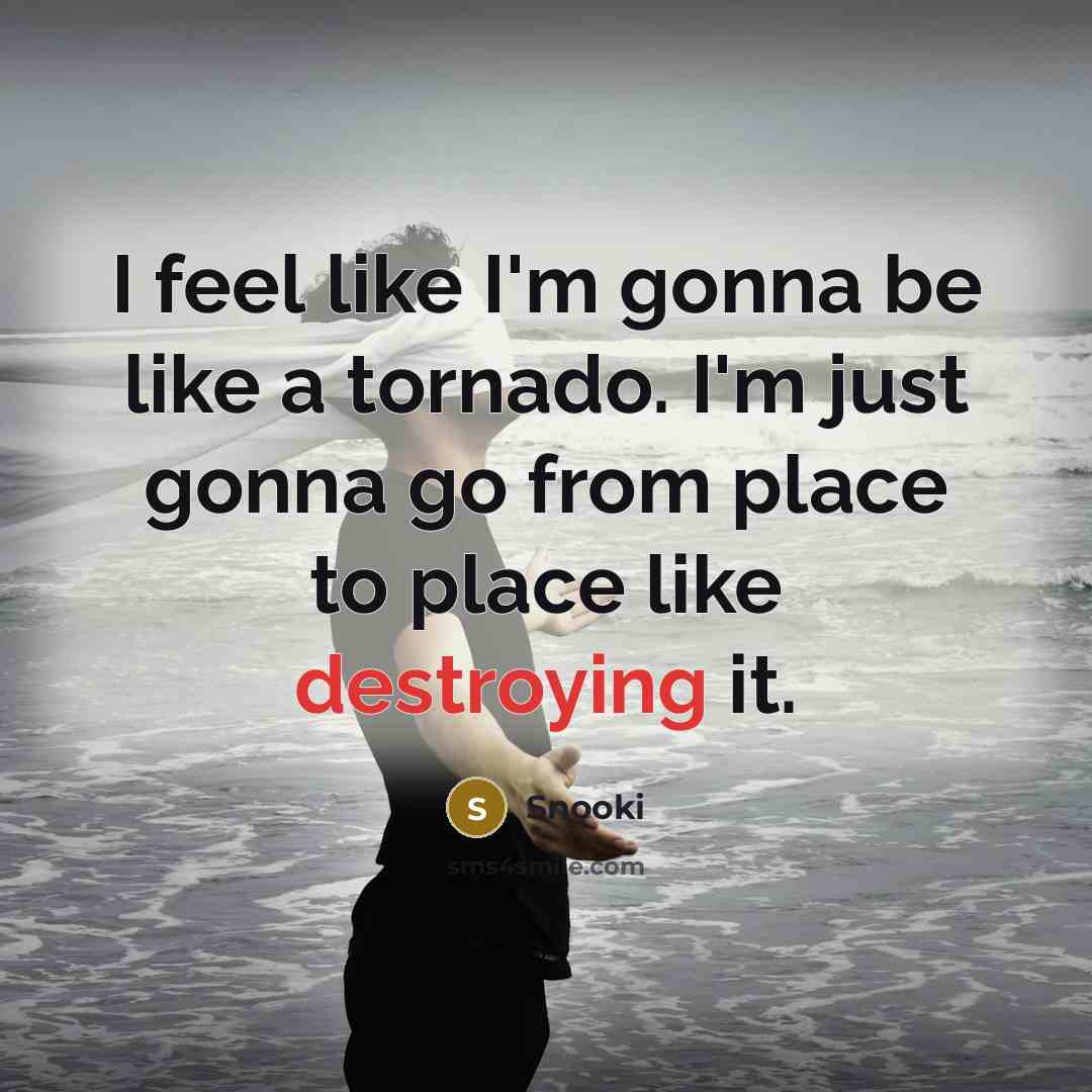 “I feel like I'm gonna be like a tornado. I'm just gonna go from place to place like destroying it.” quote by Snooki