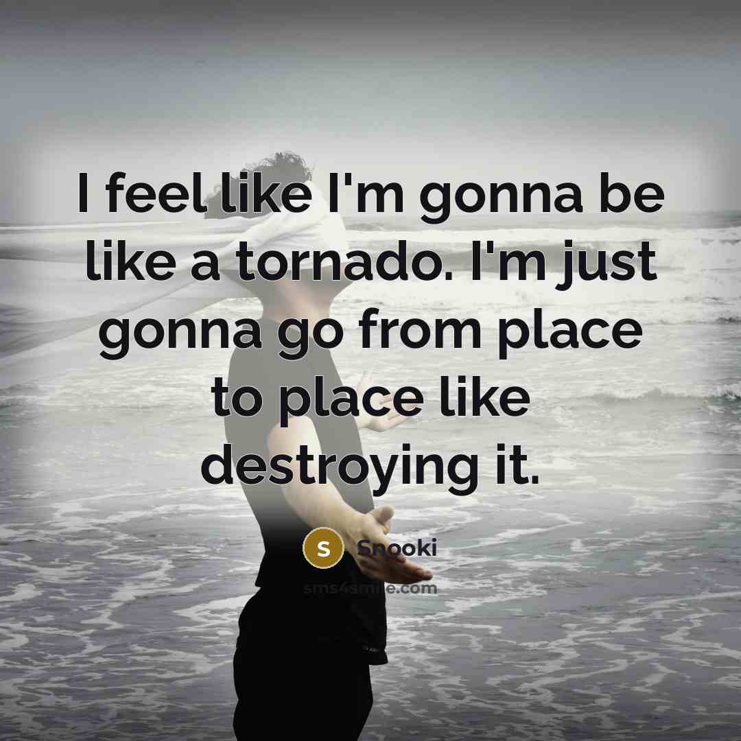 “I feel like I'm gonna be like a tornado. I'm…” quote by Snooki