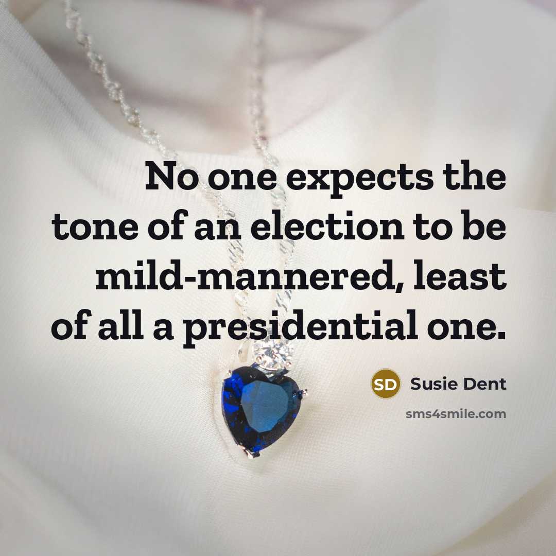 “No one expects the tone of an election to be…” quote by Susie Dent