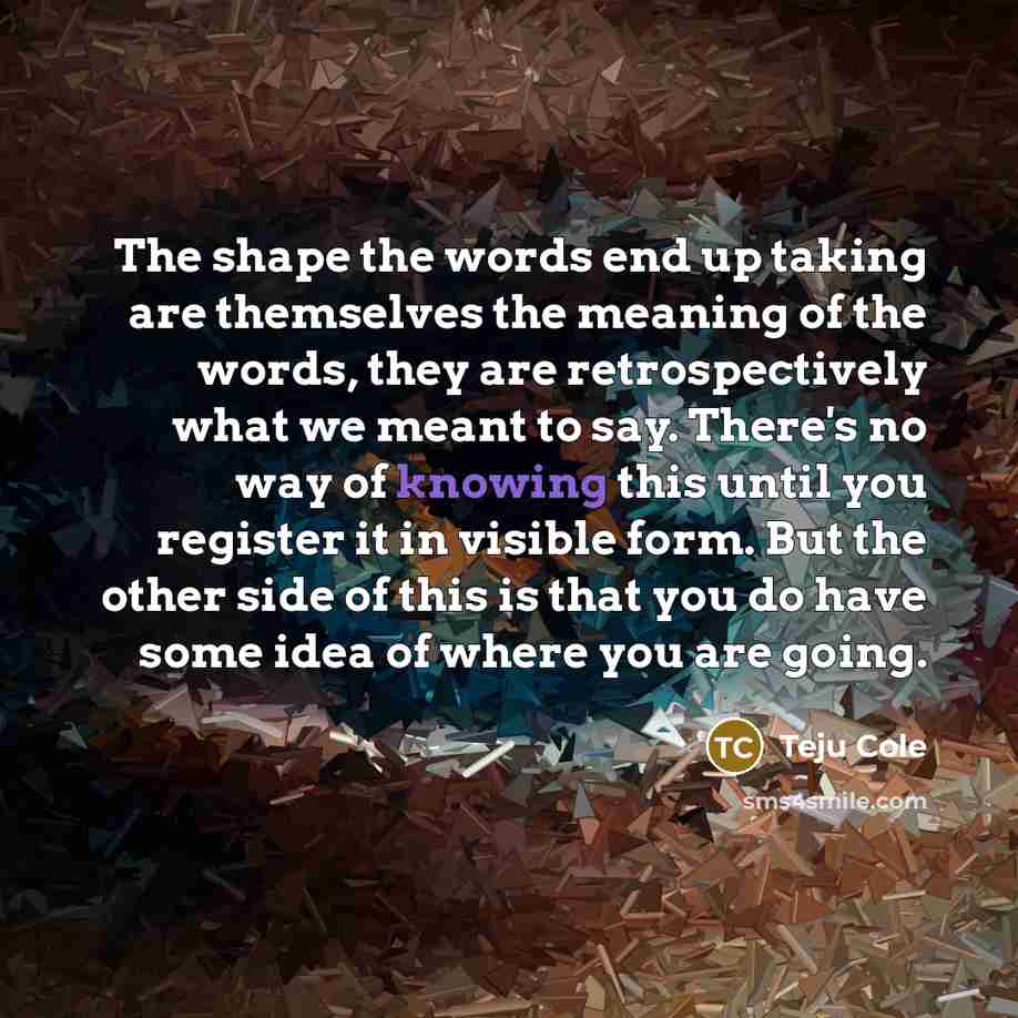 “The shape the words end up taking are themselves the…” quote by Teju Cole