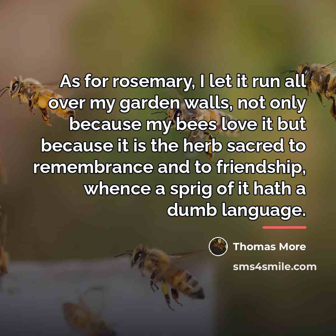 “As for rosemary, I let it run all over my…” quote by Thomas More