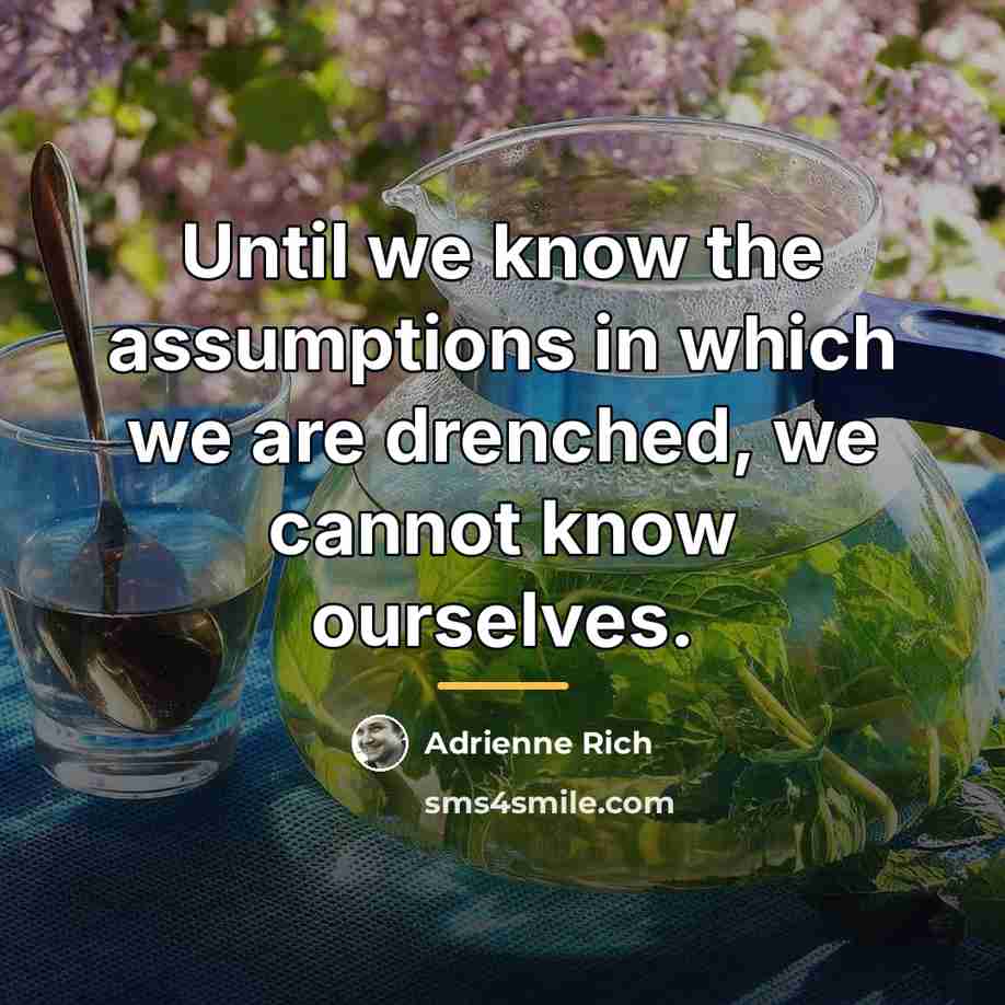 “Until we know the assumptions in which we are drenched,…” quote by Adrienne Rich