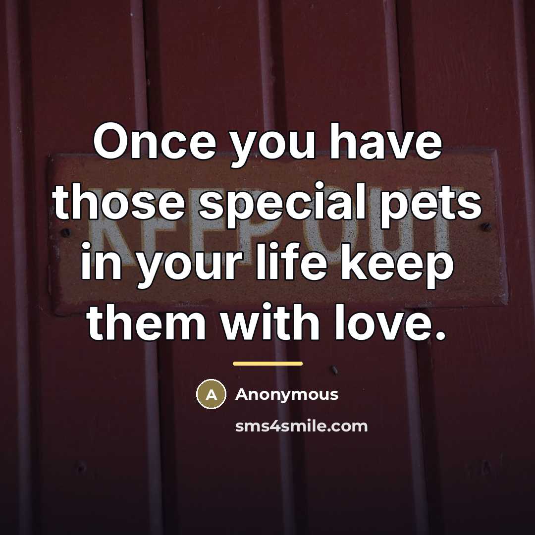 “Once you have those special pets in your life keep…” quote by Anonymous