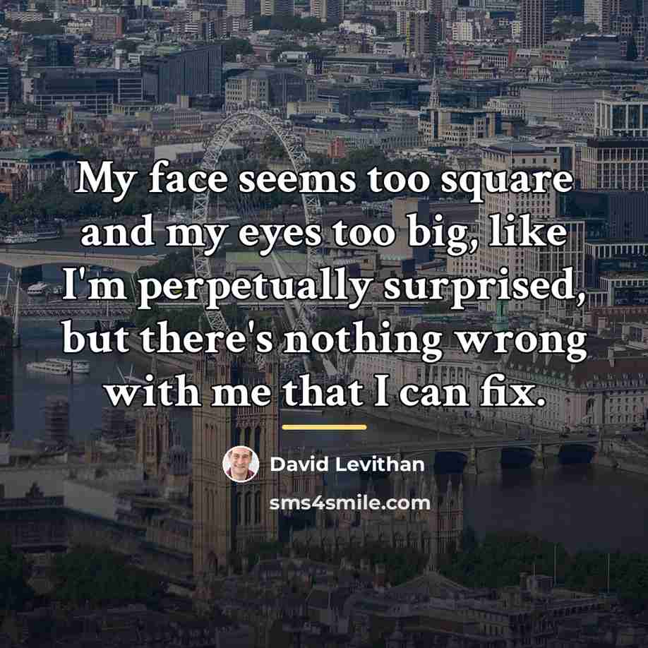“My face seems too square and my eyes too big,…” quote by David Levithan
