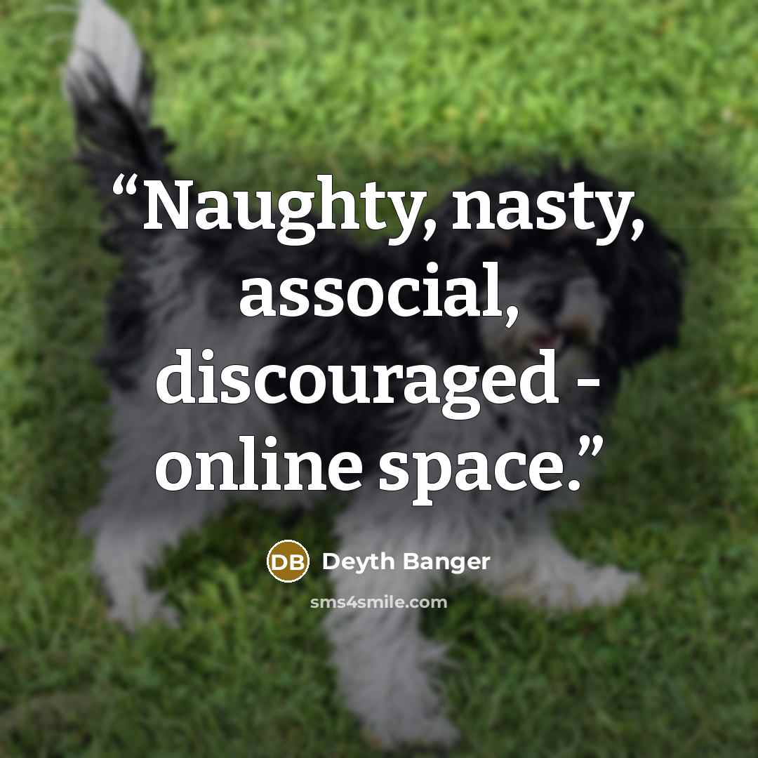 “Naughty, nasty, associal, discouraged - online space.” quote by Deyth Banger