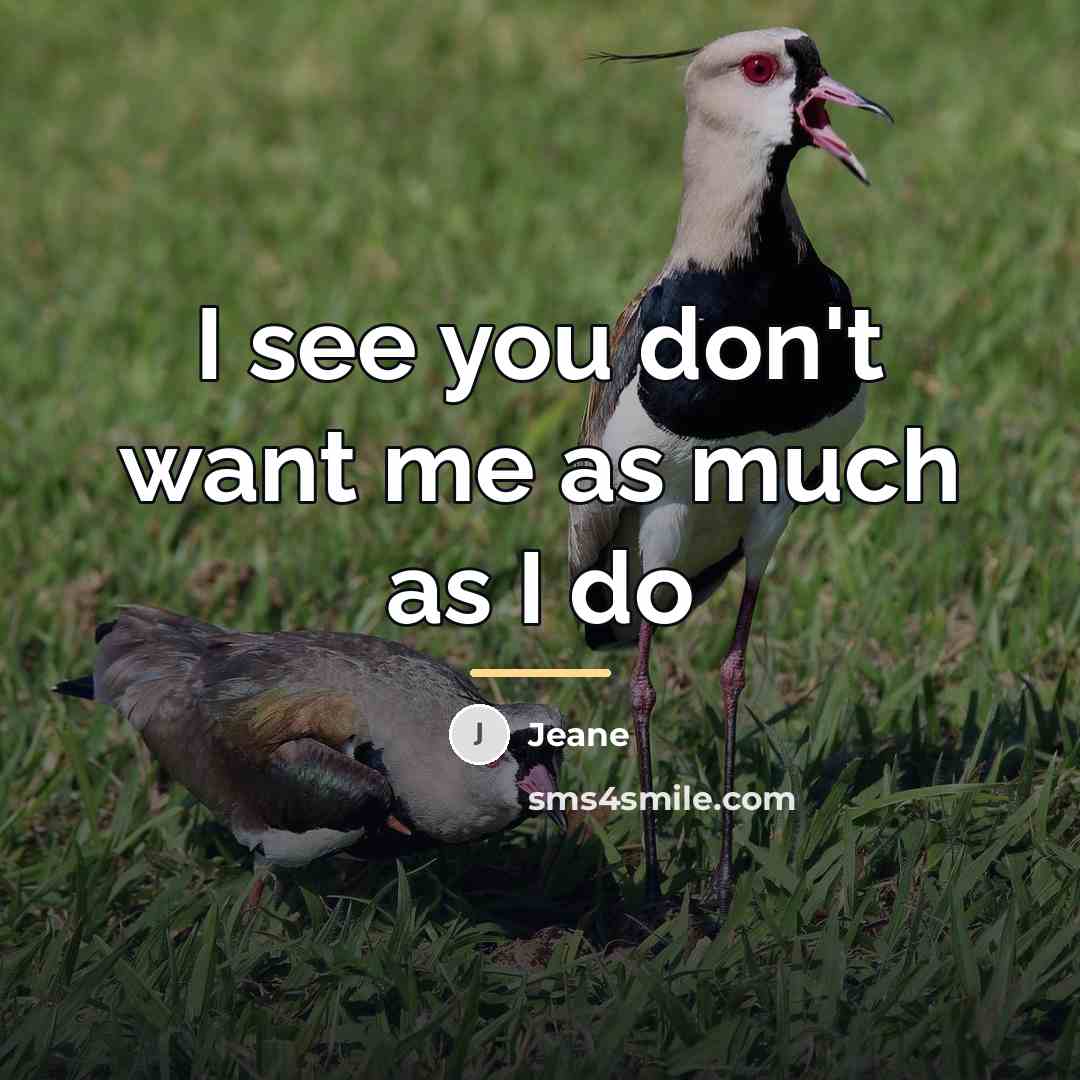 “I see you don't want me as much as I…” quote by Jeane