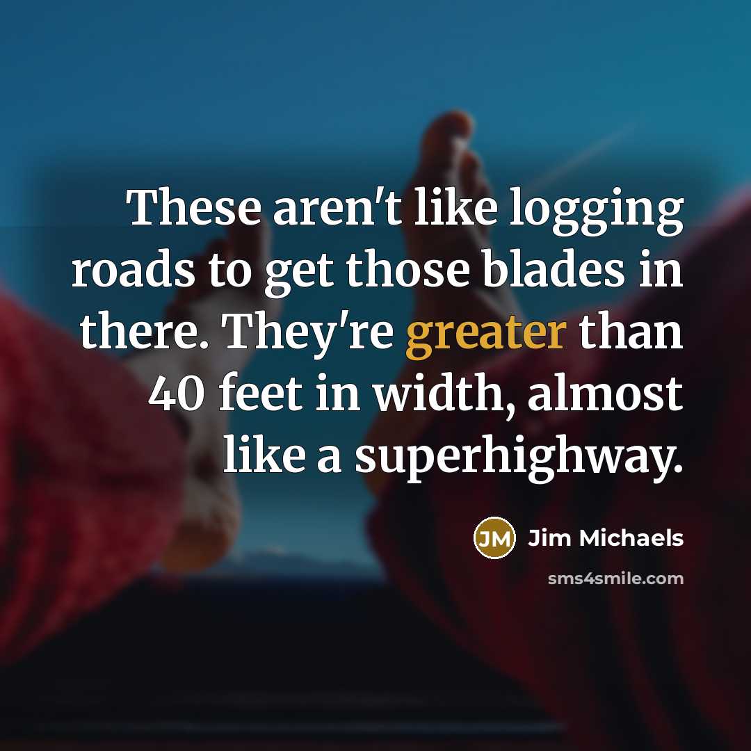 “These aren't like logging roads to get those blades in…” quote by Jim Michaels