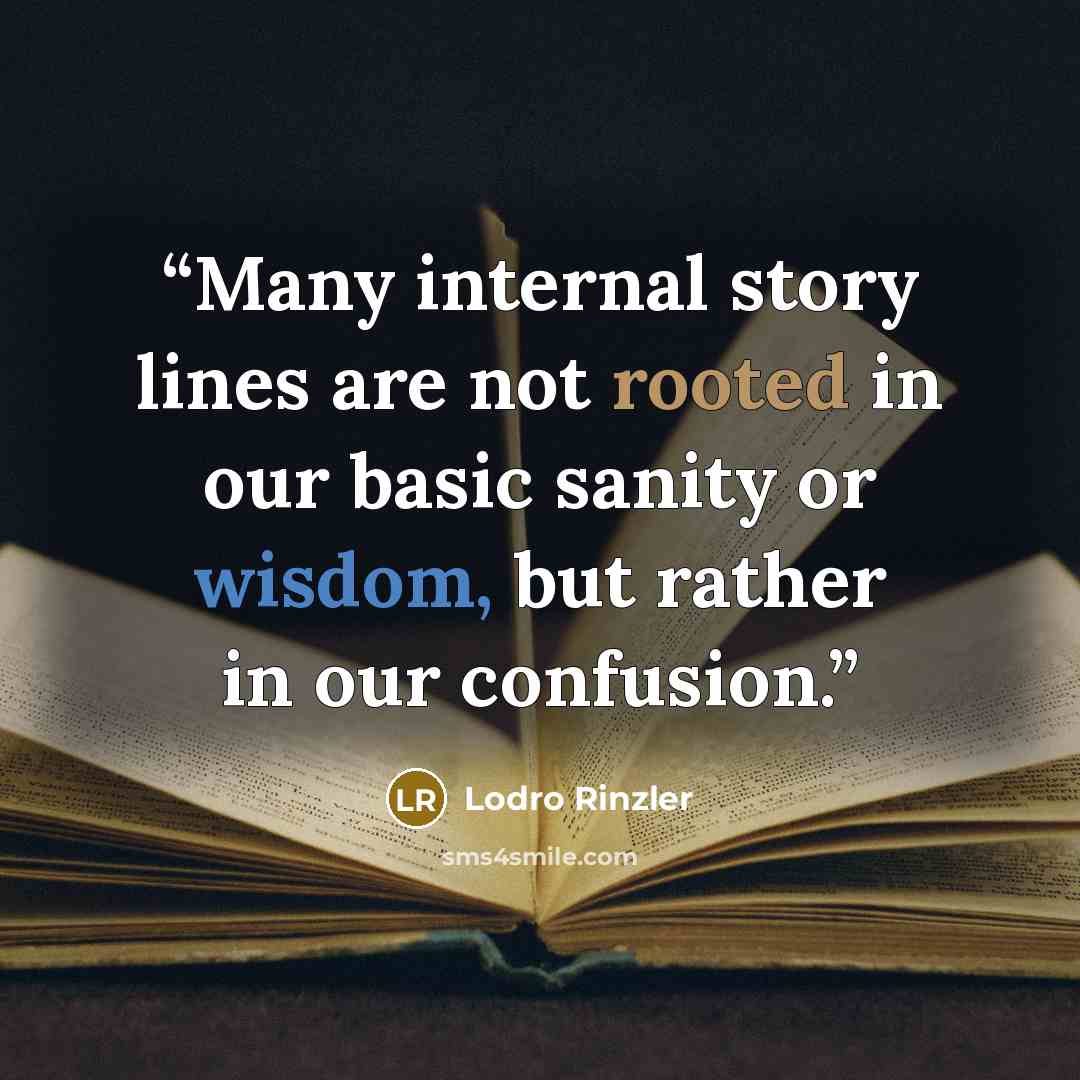 “Many internal story lines are not rooted in our basic sanity or wisdom, but rather in our confusion.” quote by Lodro Rinzler