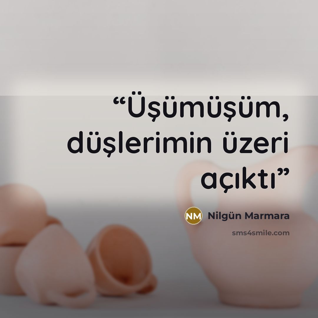 “Üşümüşüm, düşlerimin üzeri açıktı” quote by Nilgün Marmara