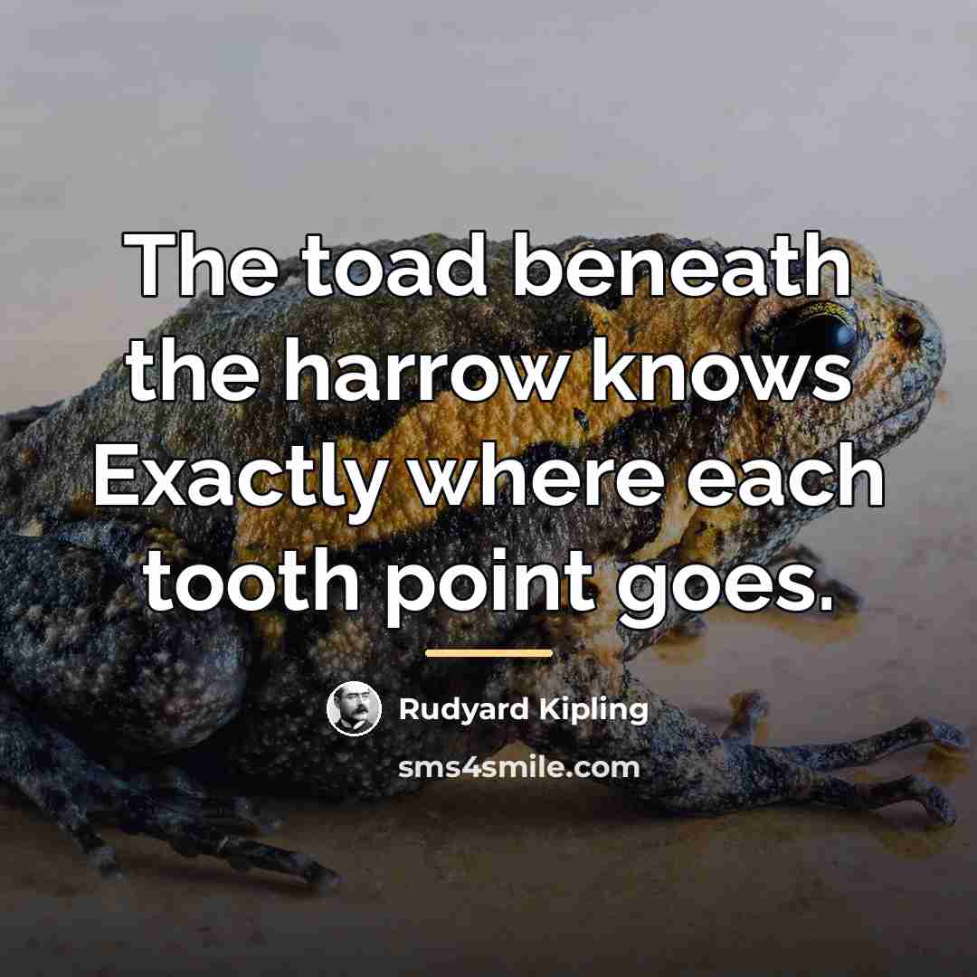 “The toad beneath the harrow knows Exactly where each tooth…” quote by Rudyard Kipling