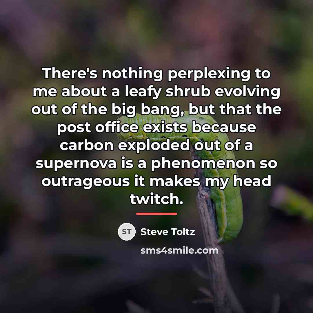 “There's nothing perplexing to me about a leafy shrub evolving…” quote by Steve Toltz
