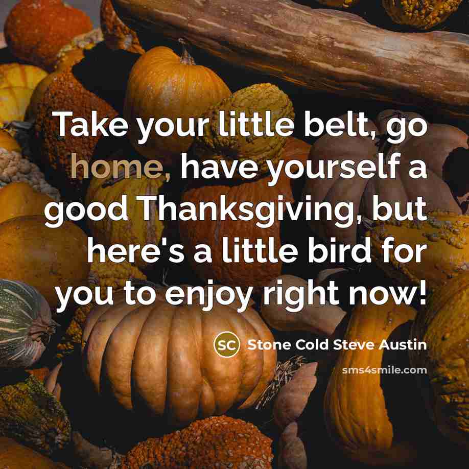 “Take your little belt, go home, have yourself a good…” quote by Stone Cold Steve Austin