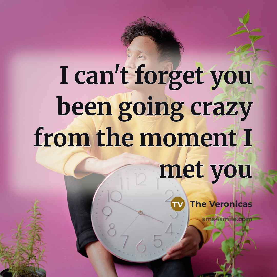 “I can't forget you been going crazy from the moment I met you” quote by The Veronicas