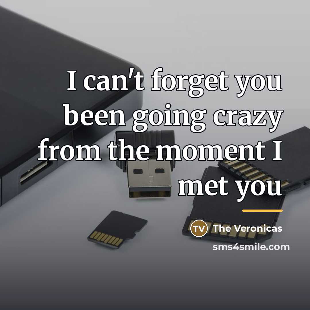 “I can't forget you been going crazy from the moment…” quote by The Veronicas