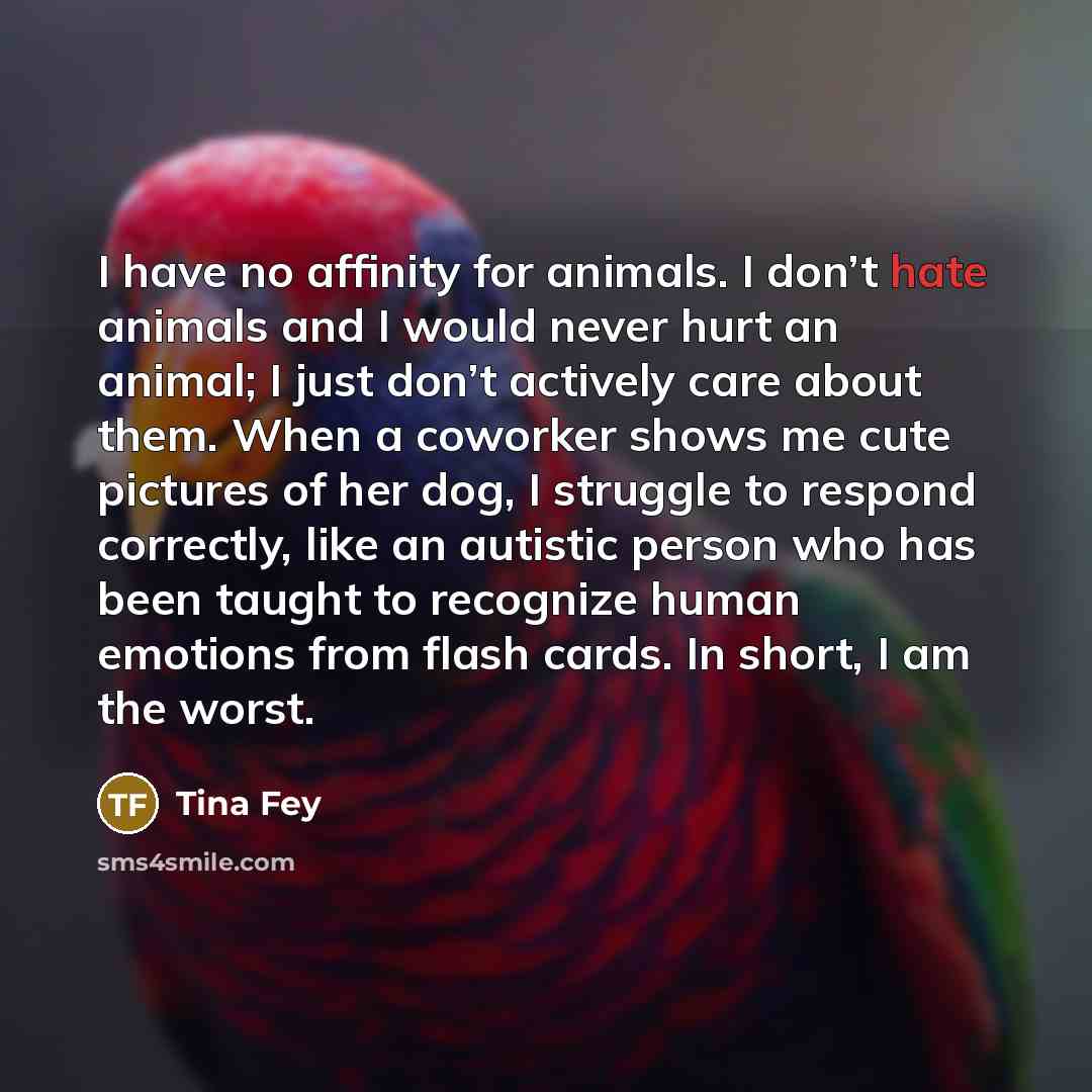 “I have no affinity for animals. I don’t hate animals…” quote by Tina Fey