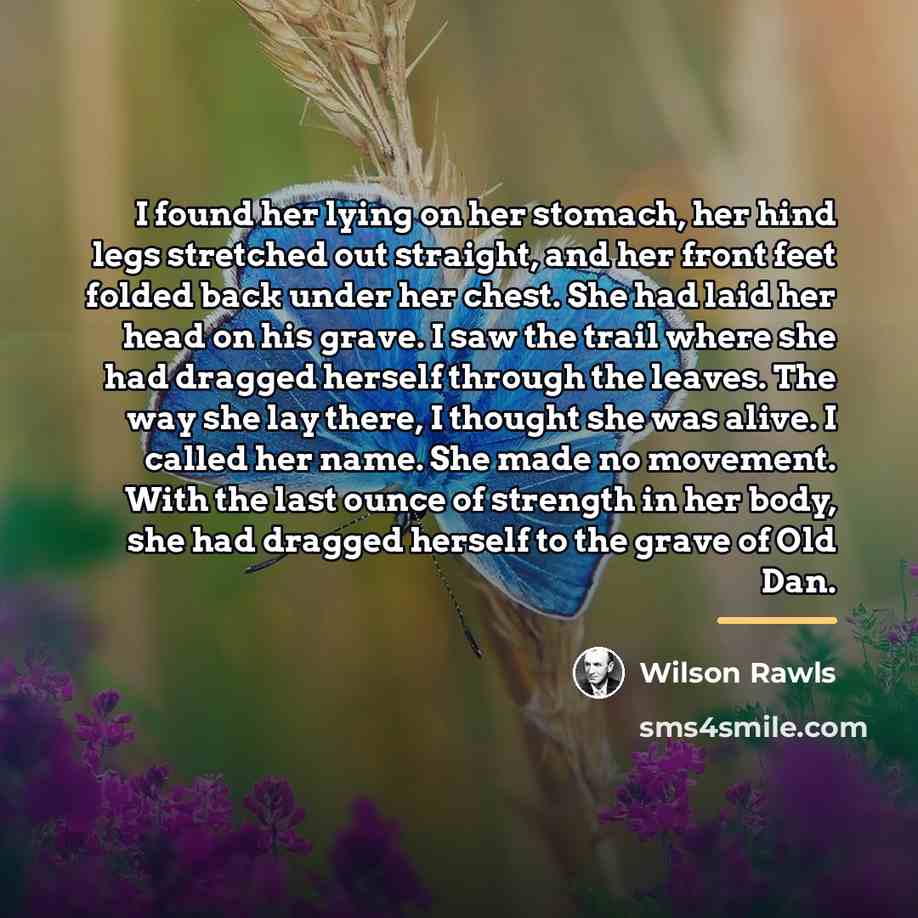 “I found her lying on her stomach, her hind legs…” quote by Wilson Rawls