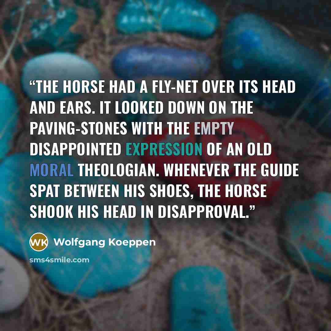 “The horse had a fly-net over its head and ears. It looked down on the paving-stones with the empty disappointed expression of an old moral theologian. Whenever the guide spat between his shoes, the horse shook his head in disapproval.” quote by Wolfgang Koeppen
