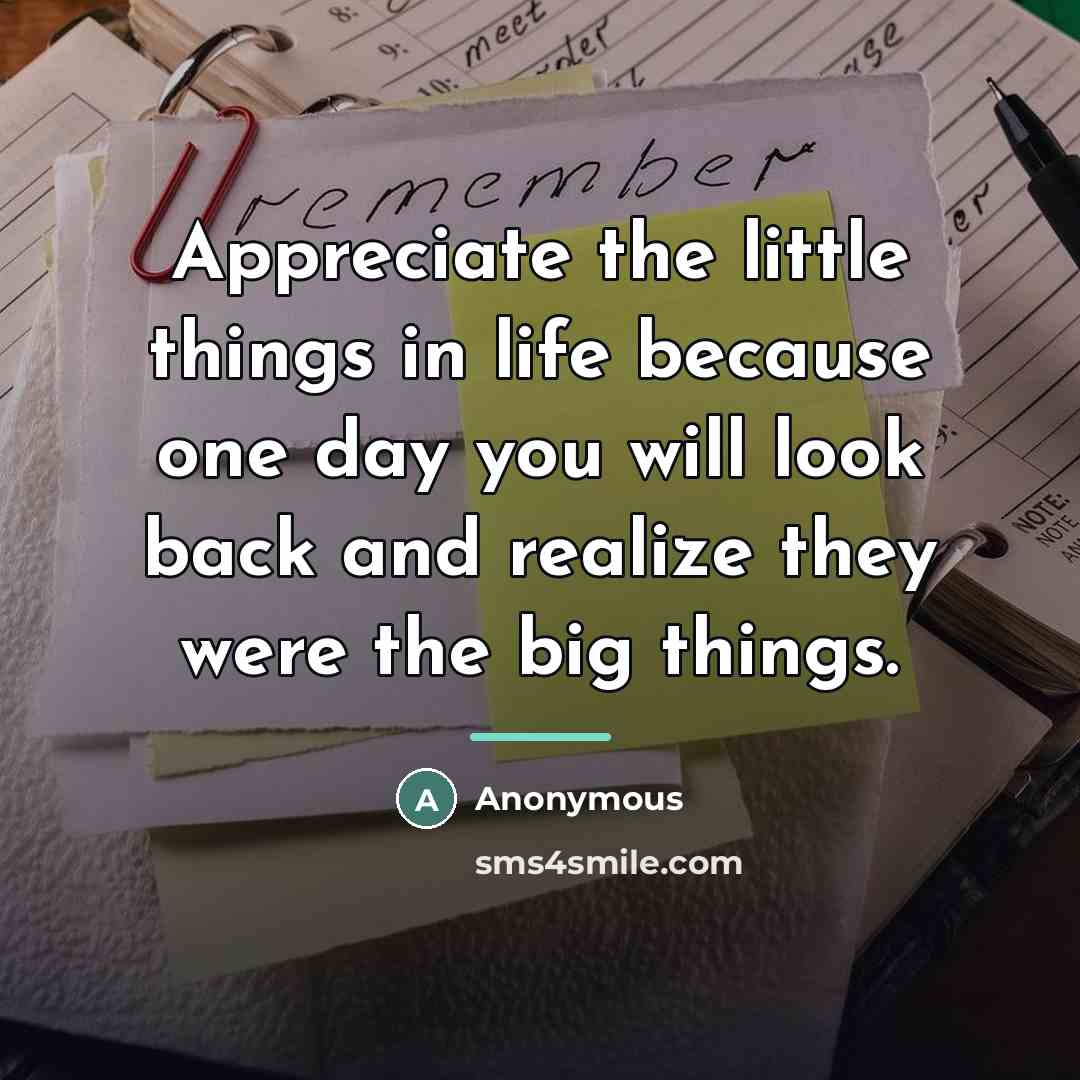 “Appreciate the little things in life because one day you…” quote by Anonymous