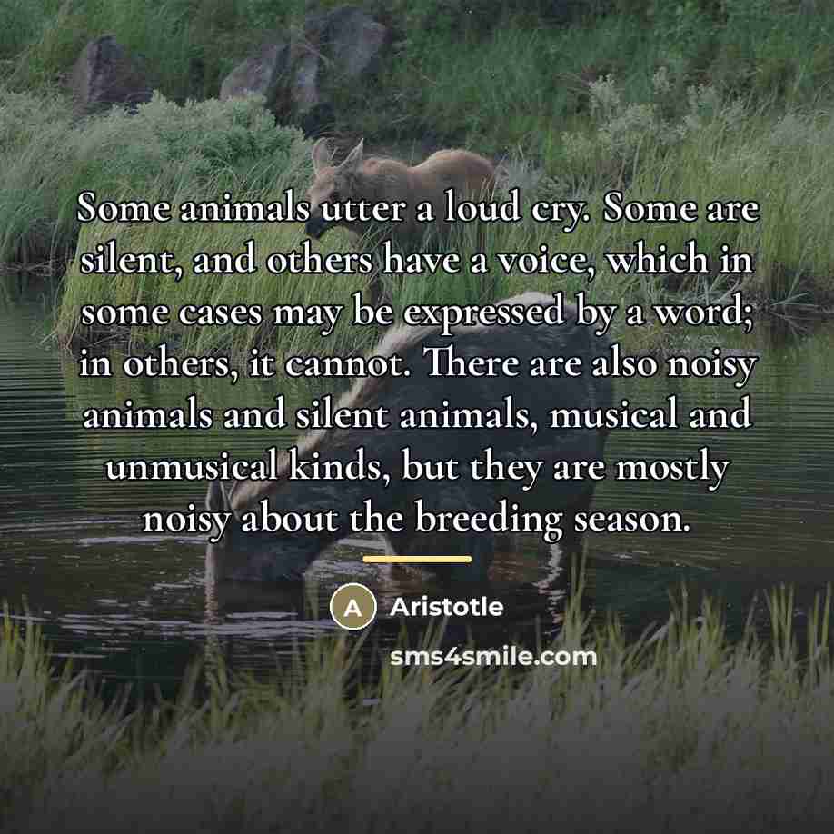 “Some animals utter a loud cry. Some are silent, and…” quote by Aristotle