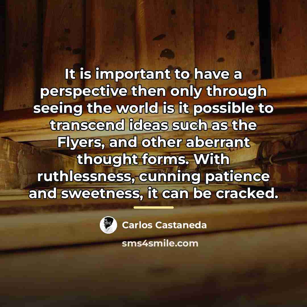 “It is important to have a perspective then only through…” quote by Carlos Castaneda
