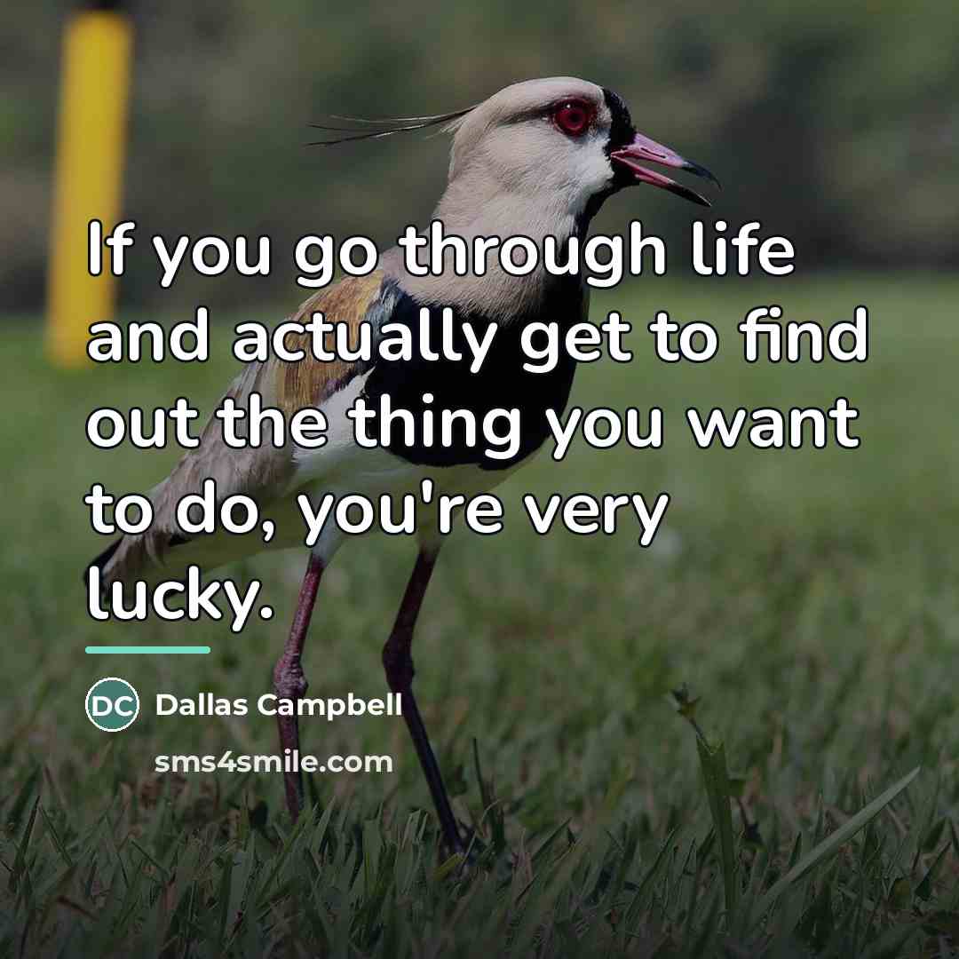 “If you go through life and actually get to find…” quote by Dallas Campbell