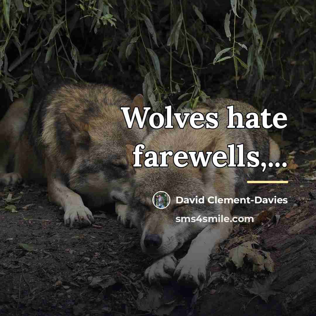 “Wolves hate farewells,...…” quote by David Clement-Davies
