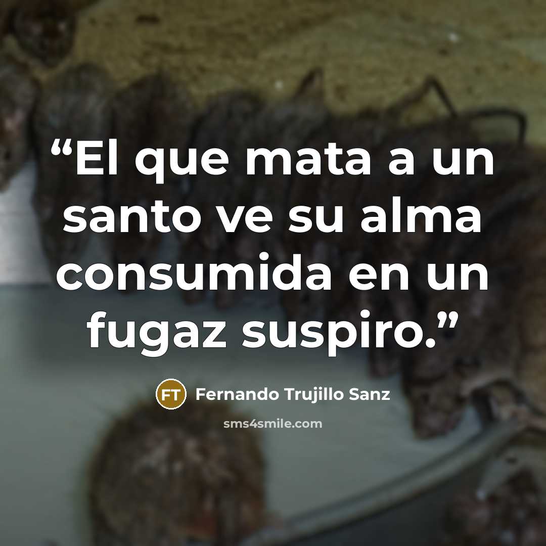 “El que mata a un santo ve su alma consumida en un fugaz suspiro.” quote by Fernando Trujillo Sanz